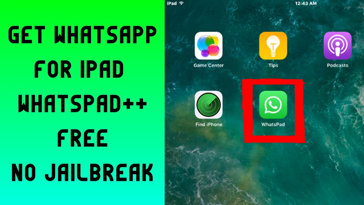 WhatsPad++ for iPad download